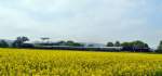 Der Sonderzug zur  Saale-Weinmeile 2013  zwischen Ro�bach und Naumburg Hbf.
